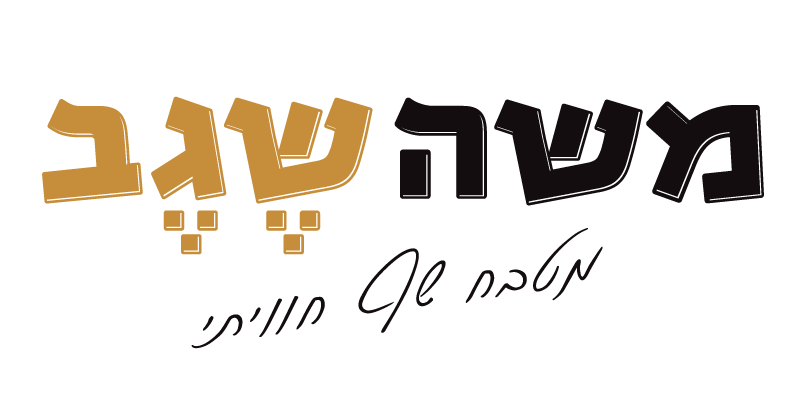 משה שגב